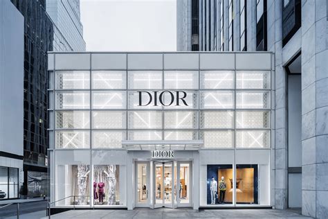 dior store us|dior store near me.